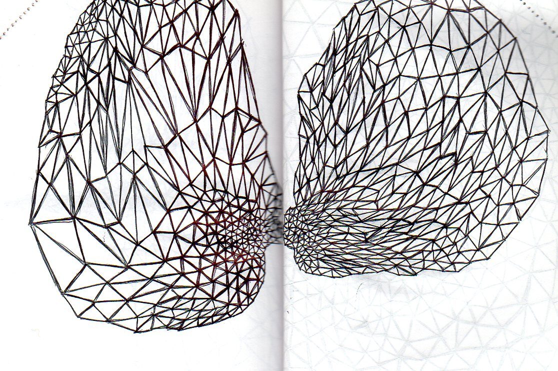 Tissages, entrelacs